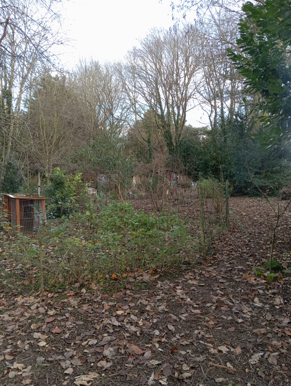 Vente Immobilier Professionnel Terrains Béthune 62400